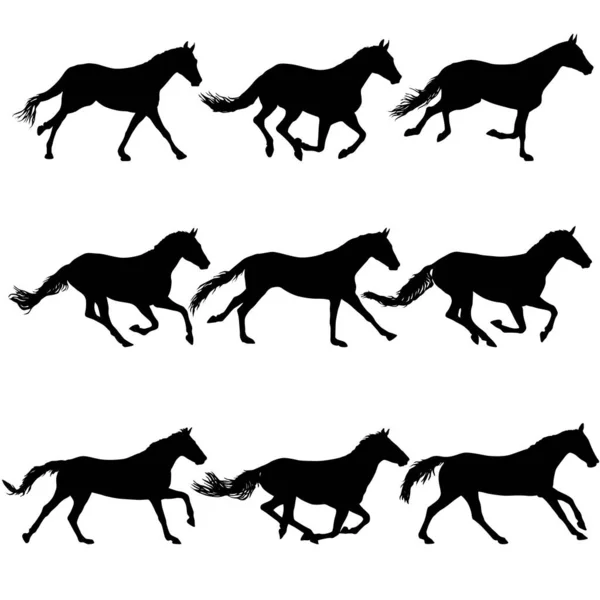 Set Silueta Caballo Mustang Negro Sobre Fondo Blanco — Archivo Imágenes Vectoriales