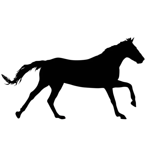 Silhouet Van Zwart Mustang Paard Witte Achtergrond — Stockvector