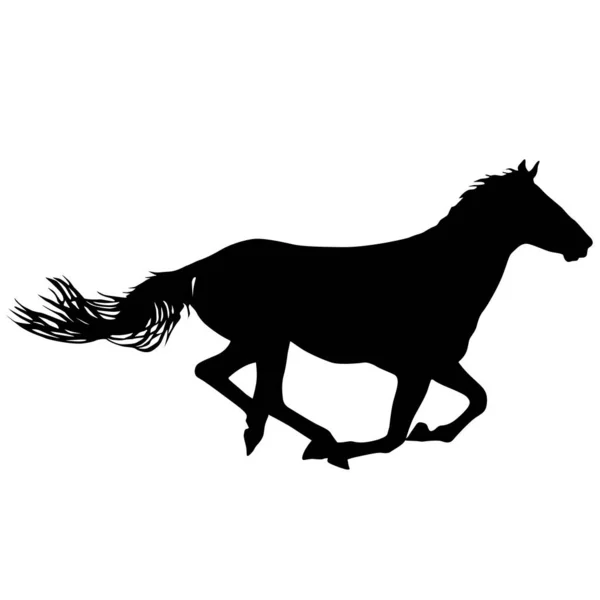 Silhouet Van Zwart Mustang Paard Witte Achtergrond — Stockvector