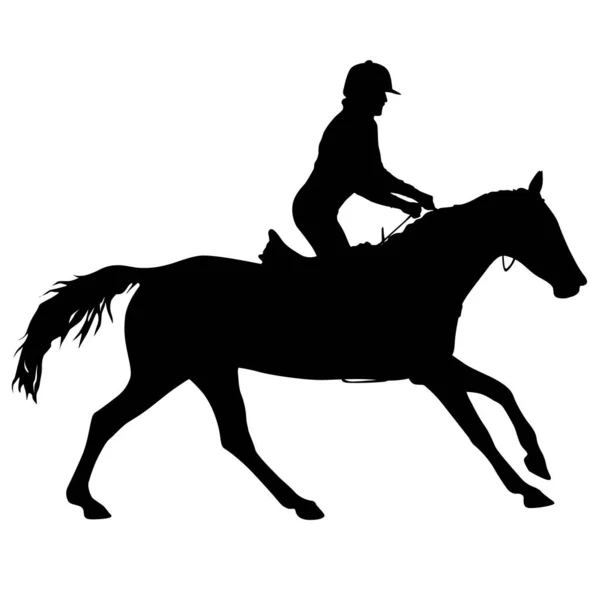 Silhouette Cheval Jockey Sur Fond Blanc — Image vectorielle