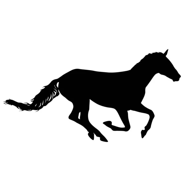 Silueta Caballo Mustang Negro Sobre Fondo Blanco — Vector de stock