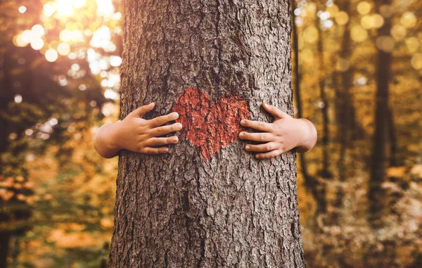 Pecinta Alam Menutup Tangan Anak Memeluk Pohon Dengan Ruang Fotokopi — Stok Foto