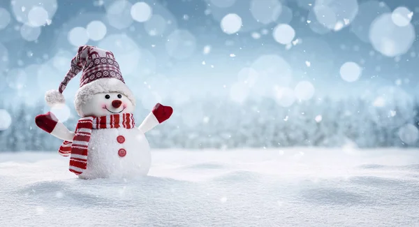 Vista Panorâmica Boneco Neve Feliz Secenery Inverno Com Espaço Cópia — Fotografia de Stock