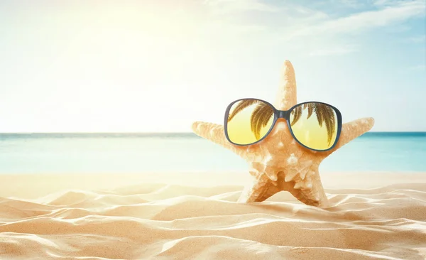 Summer Background Happy Starfish Enjoy Sun Empty Tropical Beach Copy — Stock Photo, Image