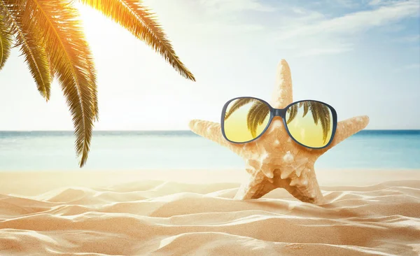 Summer Background Happy Starfish Enjoy Sun Empty Tropical Beach Copy — Stock Photo, Image