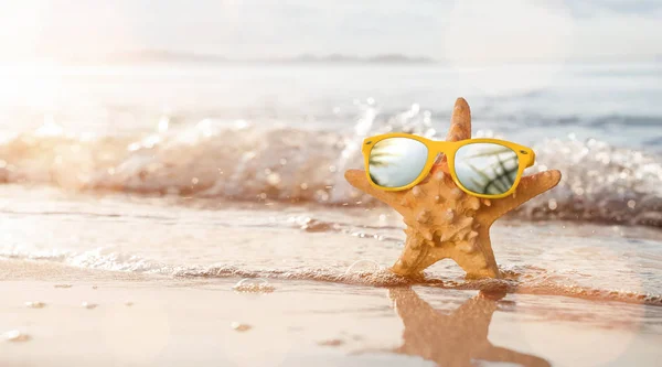 Sommerferienkonzept Glückliche Seesterne Genießen Die Sonne Tropischen Strand Mit Kopierraum — Stockfoto