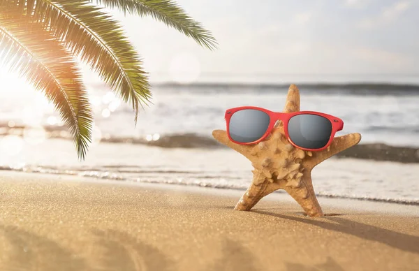 Happy Starfish Enjoy Sun Tropical Beach Copy Space Summer Holidays — Stock Photo, Image