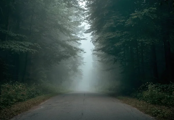 コピースペースと霧の朝の空の森の道 — ストック写真