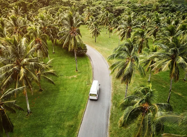Vysoký Úhel Pohledu Malý Karavan Projíždějící Tropickou Krajinou — Stock fotografie