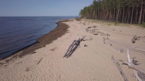 Gauja Rivière Lettonie Drone Dans Mer Baltique Vue Aérienne Uhd — Video