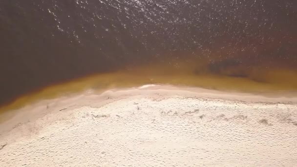 ガウヤ川バルト海空中ドローン平面図 Uhd ビデオにラトビア ドレイン — ストック動画