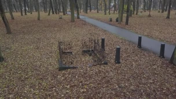 Oude Cemetety Lielie Kapi Riga Letland Stad Luchtfoto Drone Weergave — Stockvideo