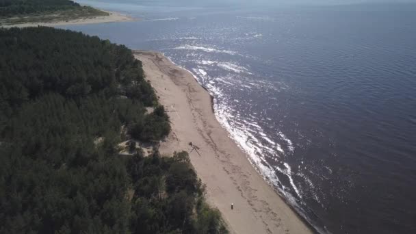 Gauja Río Letonia Desagüe Mar Báltico Avión Tripulado Vista Superior — Vídeo de stock