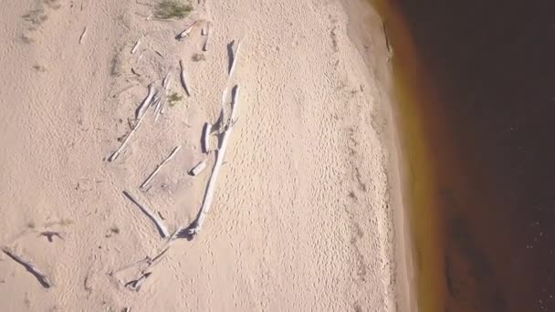 Gauja River Latvia Drain Baltic Sea Aerial Drone Top View — стоковое видео