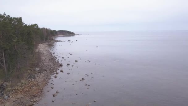 Roja Lettland Östersjön Seaside Antenn Drönare Ovanifrån Uhd Video — Stockvideo