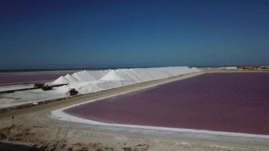 Karayip Tuz Gölü Bonaire Island Hava dron üstten görünüm 4 k Uhd video gül 