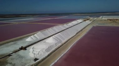 Karayip Tuz Gölü Bonaire Island Hava dron üstten görünüm 4 k Uhd video gül 