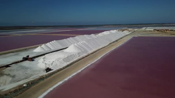 Rosa Caribe Sal Lago Bonaire Isla Aérea Drone Vista Superior — Vídeo de stock