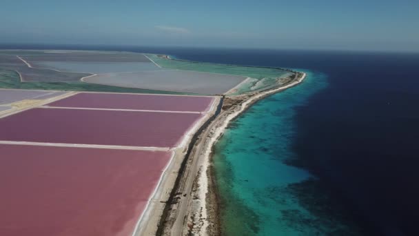 玫瑰加勒比盐湖博内尔岛空中无人机俯视图 Uhd — 图库视频影像