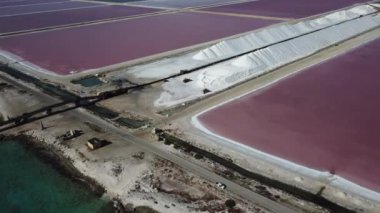 Karayip Tuz Gölü Bonaire Island Hava dron üstten görünüm 4 k Uhd video gül 