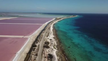 Karayip Tuz Gölü Bonaire Island Hava dron üstten görünüm 4 k Uhd video gül 