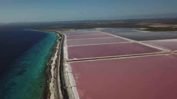 Rose Caraïbe Sel Lac Bonaire Île Aérienne Drone Vue Dessus — Video