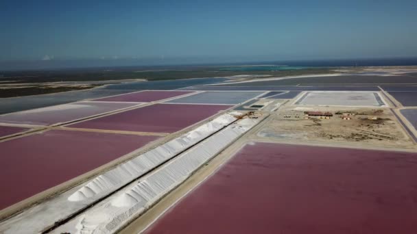 Розовое Карибское Соленое Озеро Bonaire Острова Воздушный Беспилотник Вид Сверху — стоковое видео