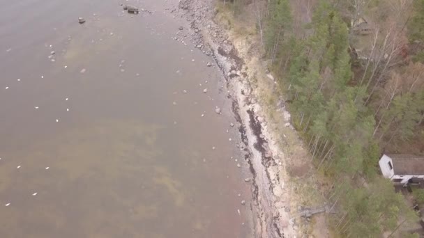 Roja Letónia Mar Báltico Litoral Drone Aéreo Vista Superior Uhd — Vídeo de Stock