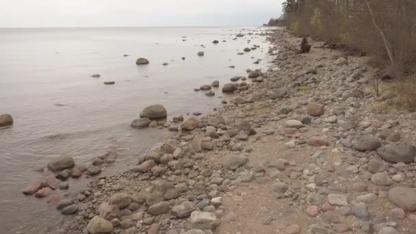 Roja Łotwa Morze Bałtyckie Nadmorski Antenowe Drone Widok Góry Uhd — Wideo stockowe