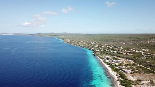 Tengerre Strand Partján Bonaire Island Karib Tenger Légi Drone Felülnézet — Stock videók