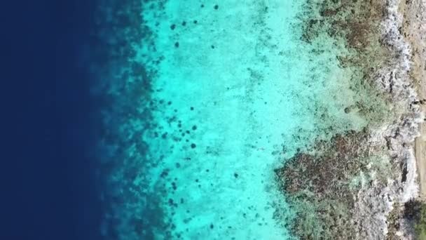 Sea Beach Coast Bonaire Island Caribbean Sea Aerial Drone Top — Stock Video