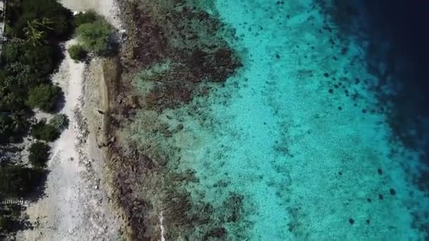 Deniz Plaj Sahil Bonaire Adası Karayip Denizi Havadan Dron Üstten — Stok video