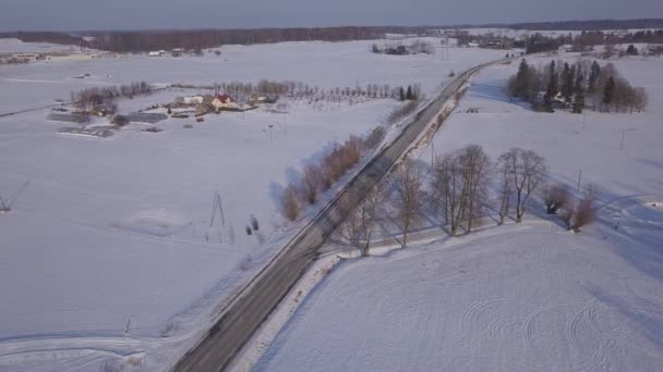 Winter Field Krimulda Latvia Aerial Drone Top View Uhd Video — Stock Video