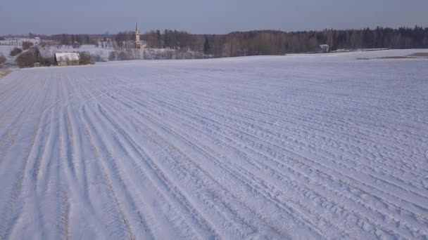 Winter Field Krimulda Latvia Aerial Drone Top View Uhd Video — Stock Video