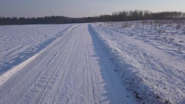 Winter Veld Krimulda Letland Luchtfoto Drone Bovenaanzicht Uhd Video — Stockvideo