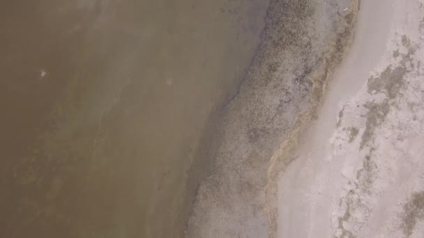 ラトビア バルト海海岸空中ドローン平面図 Uhd ビデオ — ストック動画
