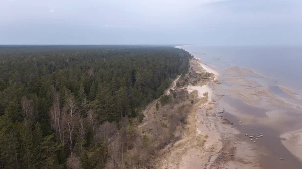 Roja Lettország Balti Tengerparti Légi Drone Felülnézet — Stock Fotó