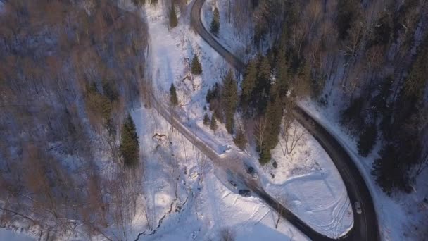 Взимку Поле Sigulda Латвії Drone Антена Вид Зверху Uhd Відео — стокове відео