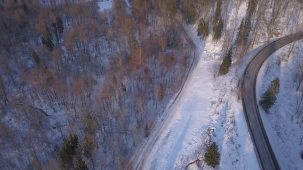 冬季场 Sigulda 拉脱维亚空中无人机顶部查看 Uhd — 图库视频影像