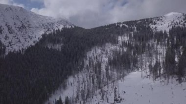 kar dağ Slovakya Kayak Kış Jasna Europa hava dron Üstten Görünüm