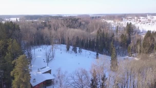 Campo Inverno Krimulda Letónia Drone Aéreo Vista Superior Uhd Vídeo — Vídeo de Stock