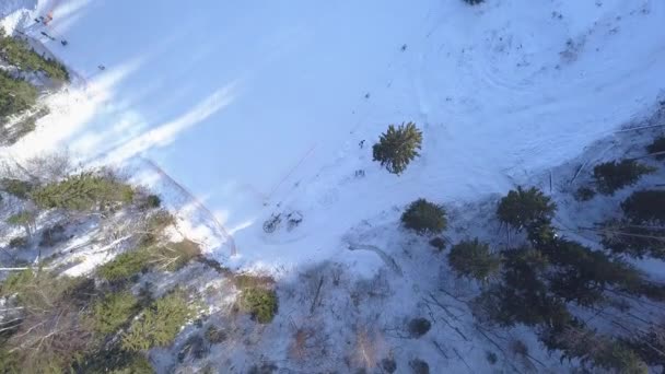 冬のフィールド Krimulda ラトビア空中ドローン平面図 Uhd ビデオ — ストック動画