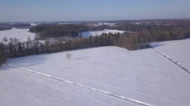 Kış alan Krimulda Letonya hava dron üstten görünüm 4k Uhd video