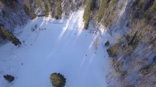 Campo Inverno Krimulda Letónia Drone Aéreo Vista Superior Uhd Vídeo — Vídeo de Stock