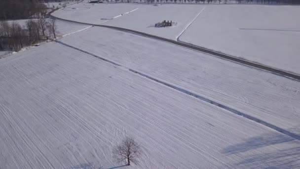 Vinter Fältet Krimulda Lettland Antenn Drönare Ovanifrån Uhd Video — Stockvideo