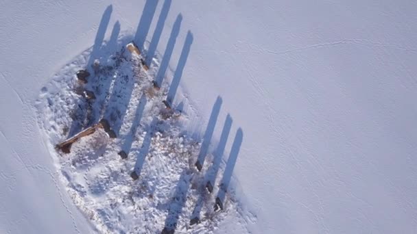 Vinter Fältet Krimulda Lettland Antenn Drönare Ovanifrån Uhd Video — Stockvideo