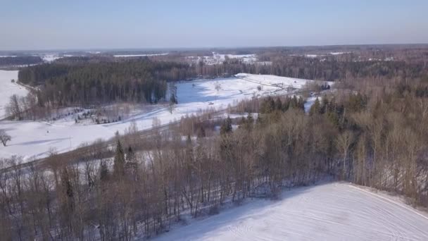 Campo Inverno Krimulda Letónia Drone Aéreo Vista Superior Uhd Vídeo — Vídeo de Stock