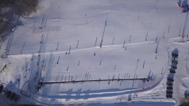 Χειμερινό Πεδίο Krimulda Λετονία Εναέριο Κηφήνα Κάτοψη Uhd Βίντεο — Αρχείο Βίντεο