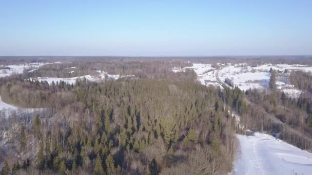 Campo Inverno Krimulda Letónia Drone Aéreo Vista Superior Uhd Vídeo — Vídeo de Stock