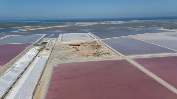 Růže Karibiku Solné Jezero Bonaire Ostrov Letecké Dron Pohled Shora — Stock fotografie